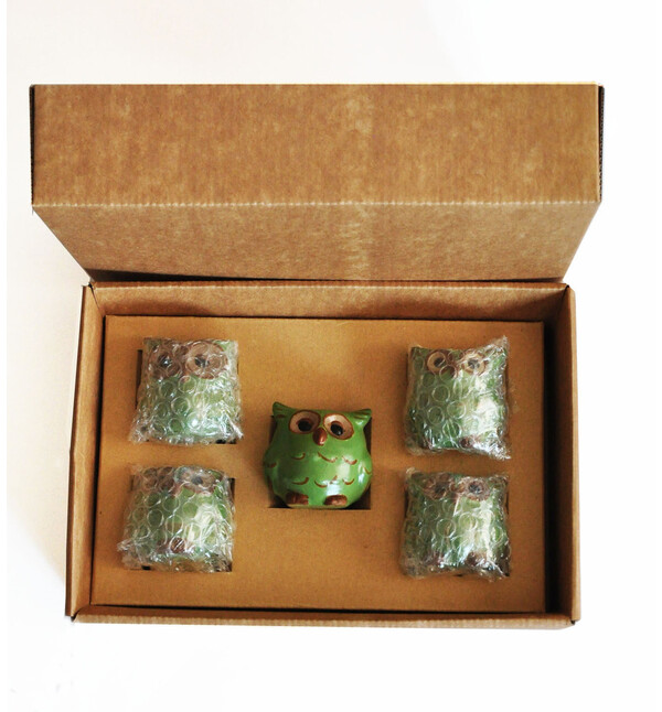 Baykuş Tasarımlı El Yapımı 5li Saksı Seti Aile Birliği Simgesi