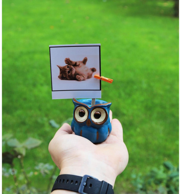 Kişiye Özel 5 Fotoğraflı Mavi Baykuş Tasarımlı 5li Biblo Seti